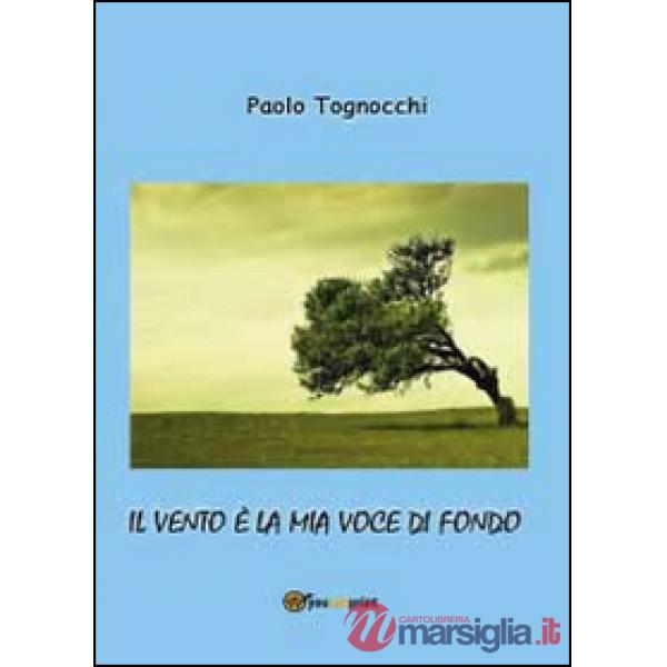 Vento è la mia voce di fondo (Il)