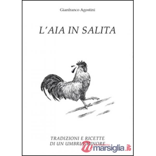 Aia in salita (L')