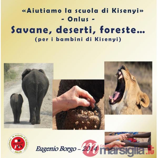 Aiutiamo la scuola di Kisenyi. Ediz. illustrata
