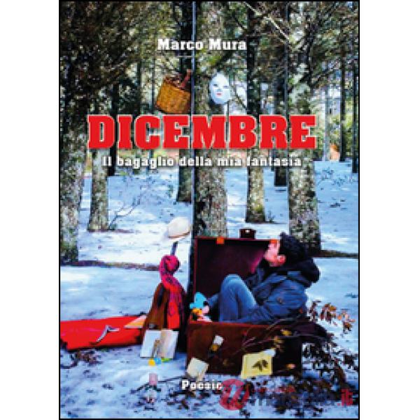 Dicembre. Il bagaglio della mia fantasia
