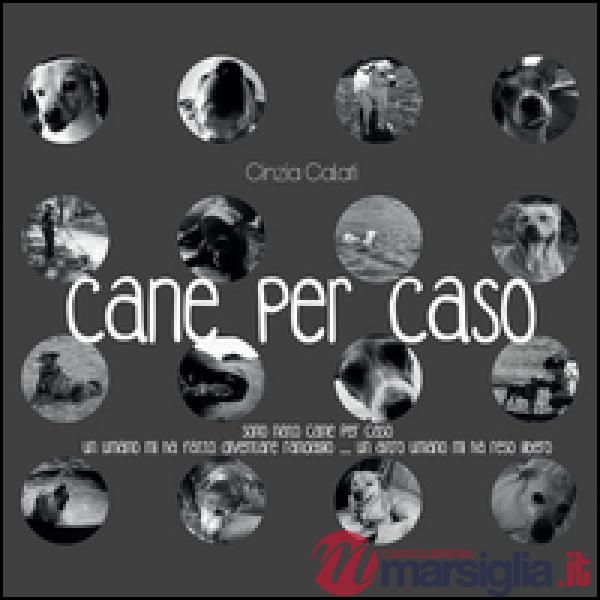Cane per caso