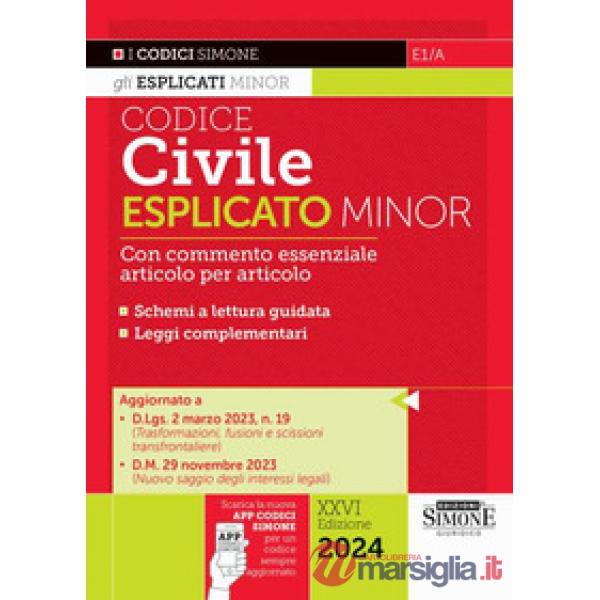 Codice civile esplicato. Ediz. minor