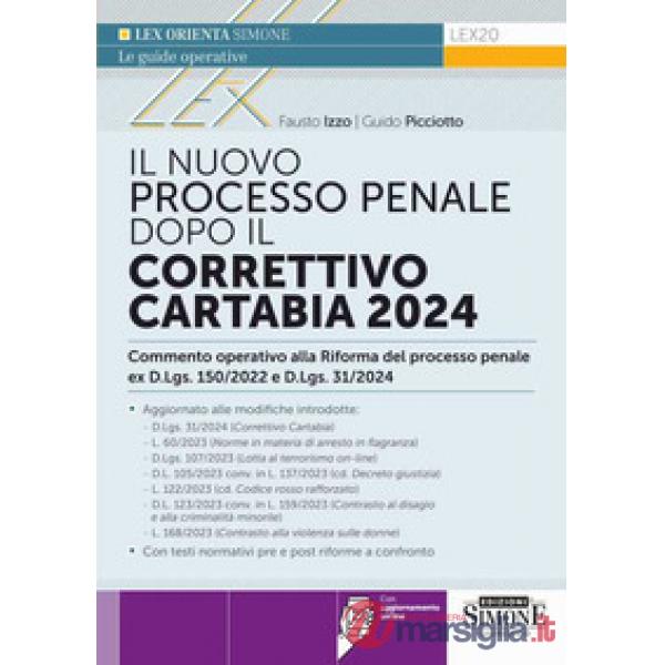 Il nuovo processo penale dopo il Correttivo Cartabia 2024