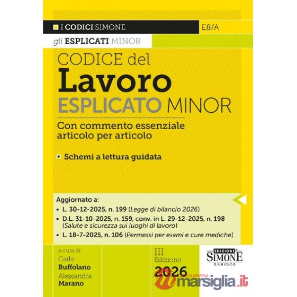 Codice del Lavoro esplicato. Commento essenziale, articolo per articolo, alle principali norme di diritto del lavoro. Minor