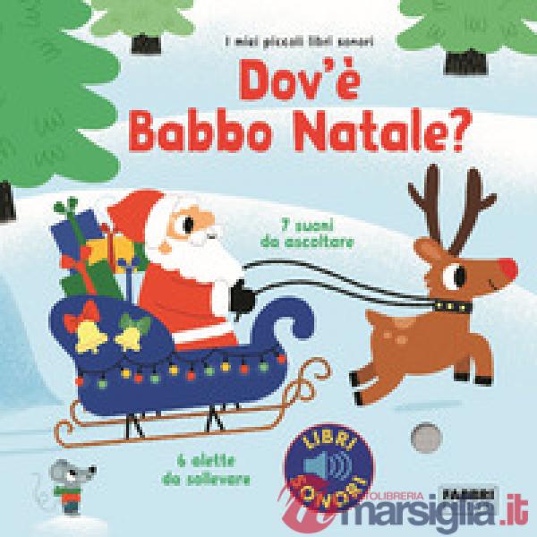 Dov'è Babbo Natale? Ediz. a colori