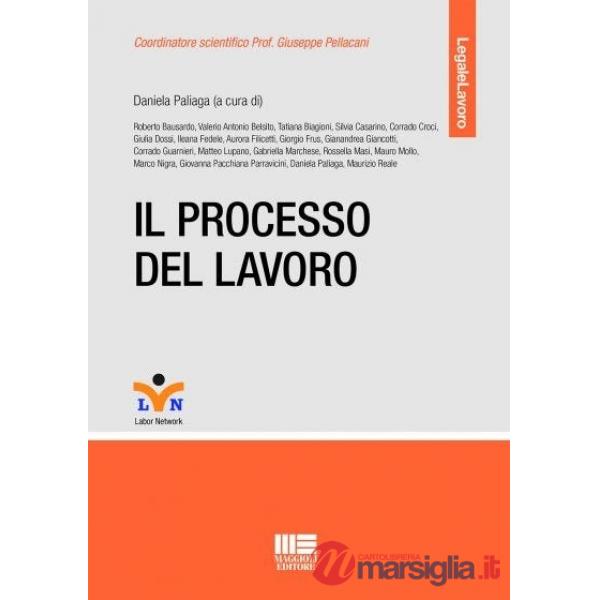 Il processo del lavoro