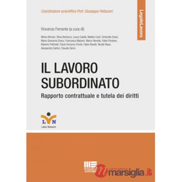 Il lavoro subordinato. Rapporto contrattuale e tutela dei diritti