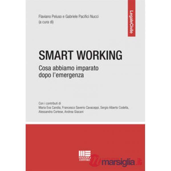 Smart working. Cosa abbiamo imparato dopo l'emergenza