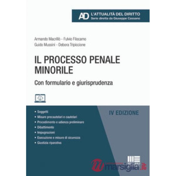 Il processo penale minorile