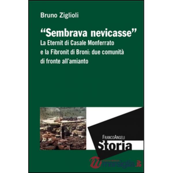 Sembrava nevicasse. La Eternit di Casale Monferrato e la Fibronit di Broni: due comunità di fronte all'amianto