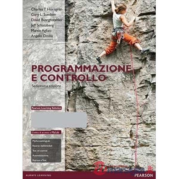 Programmazione e controllo. Con aggiornamento online. Con e-book