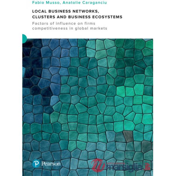 LOCAL BUSINESS NETWORKS CLUSTERS AND BUSINESS ECOSYSTEMS