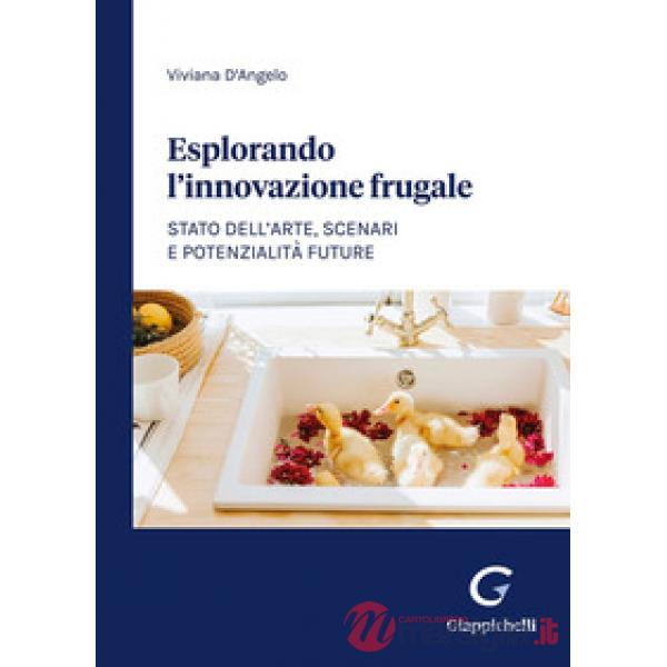 Esplorando l'innovazione frugale. Stato dell'arte, scenari e potenzialità future