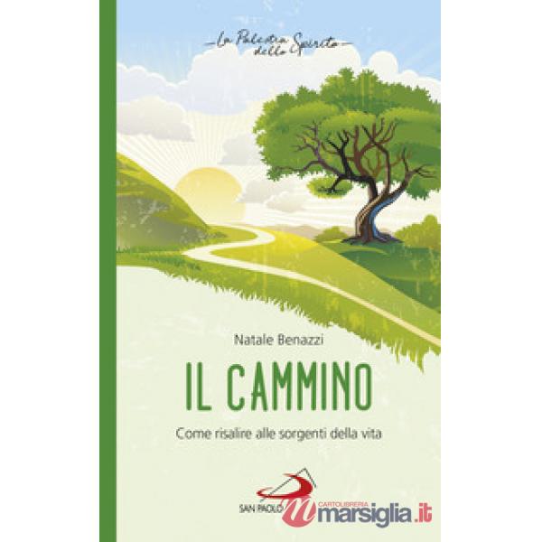 Cammino. Come risalire alle sorgenti della vita (Il)