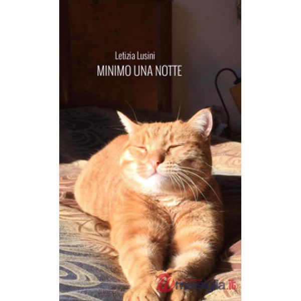 Minimo una notte