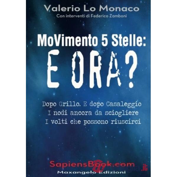 Movimento 5 Stelle: e ora?