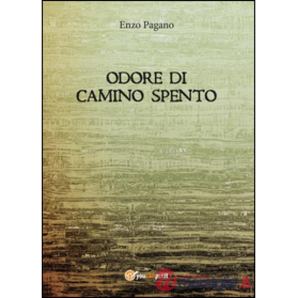 Odore di camino spento