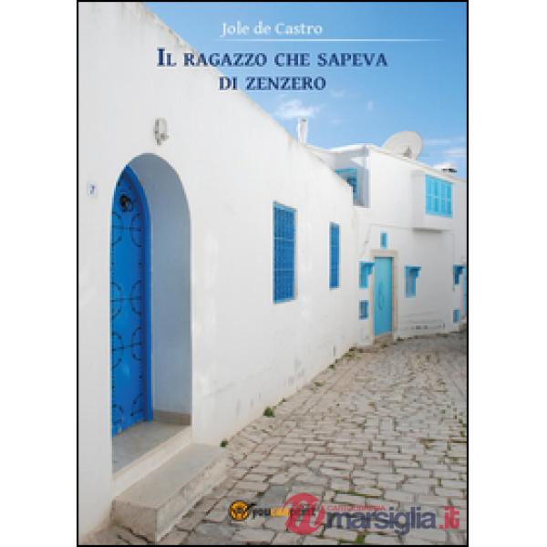 Ragazzo che sapeva di zenzero (Il)