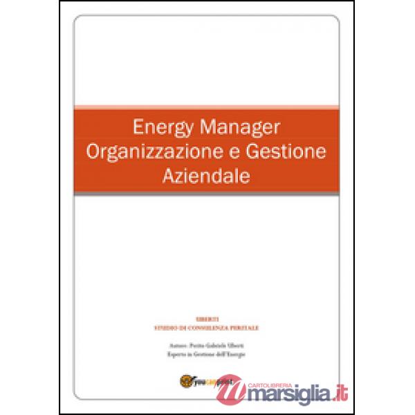 Energy manager. Organizzazione e gestione aziendale