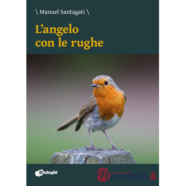Angelo con le rughe (L')