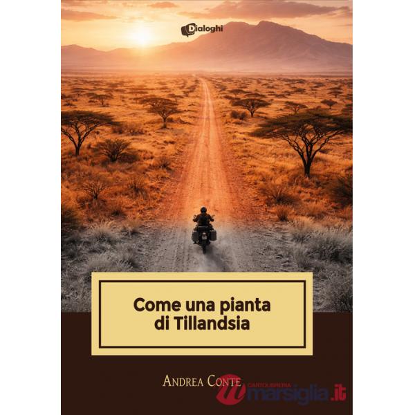 Come una pianta di Tillandsia