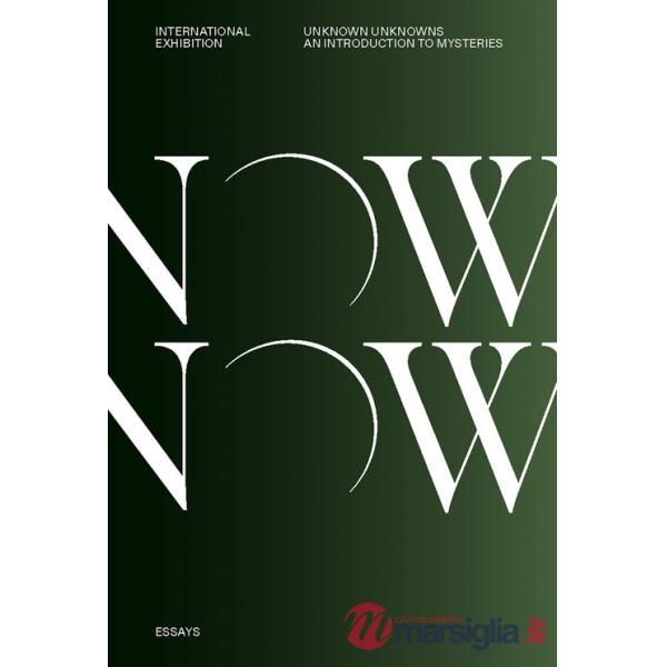 Unknown Unknowns. An introduction to mysteries. Essays