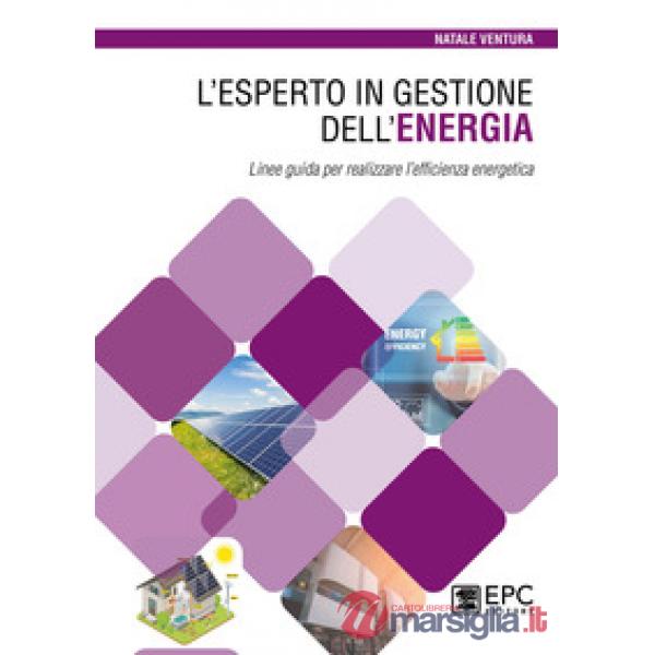 L'esperto in gestione dell'energia. Linee guida per realizzare l'efficienza energetica