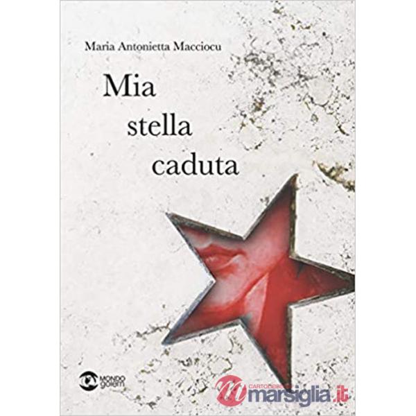 Mia stella caduta