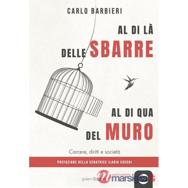 Al di la delle sbarre, al di qua del muro. Carcere, diritti e società