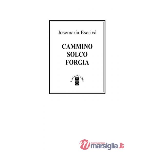 Cammino Solco Forgia. Ediz. Deluxe