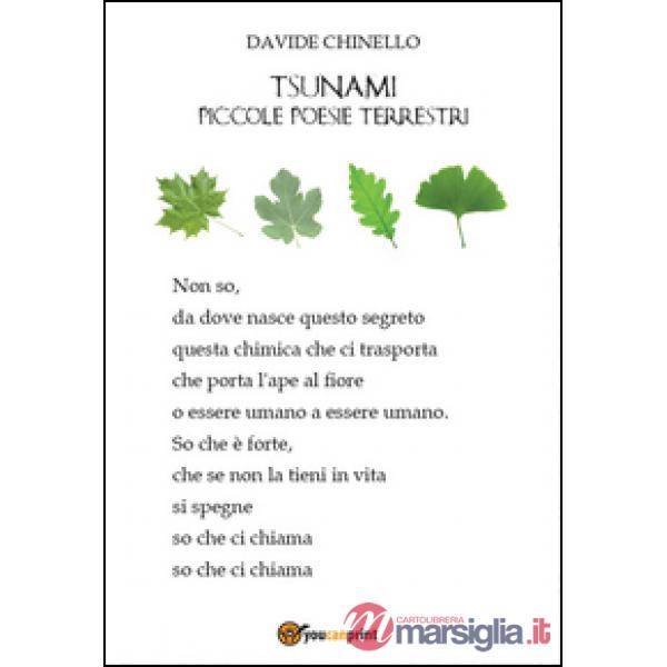 Tsunami, piccole poesie terrestri