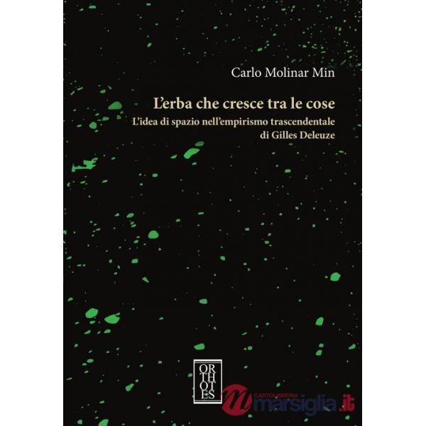 Erba che cresce tra le cose. L'idea di spazio nell'empirismo trascendentale di Gilles Deleuze (L')