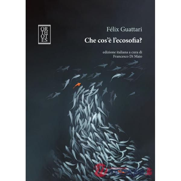 Che cos'è l'ecosofia?