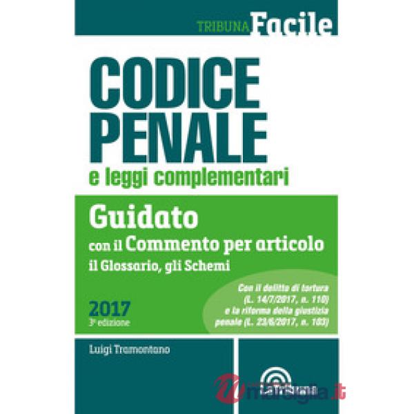 Codice penale e leggi complementari. Guidato con il commento per articolo, il glossario, gli schemi