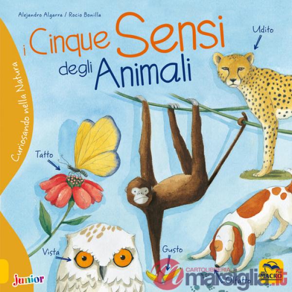 Cinque sensi degli animali. Curiosando nella natura. Ediz. a colori (I)