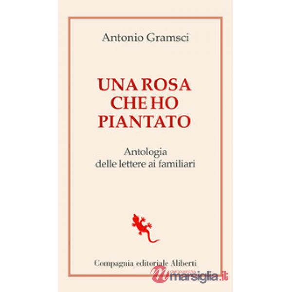 Rosa che ho piantato. Antologia delle lettere ai famigliari (Una)