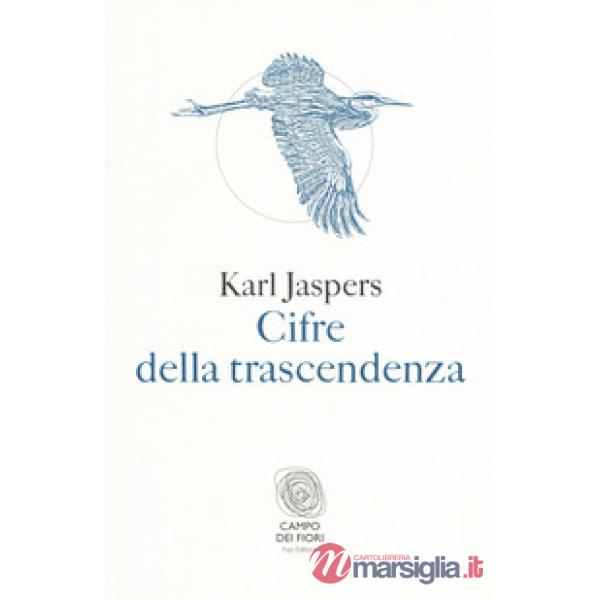 Cifre della trascendenza