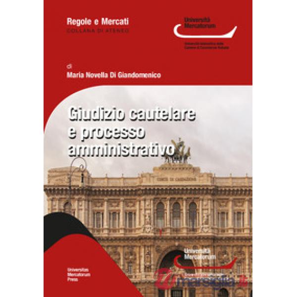Giudizio cautelare e processo amministrativo