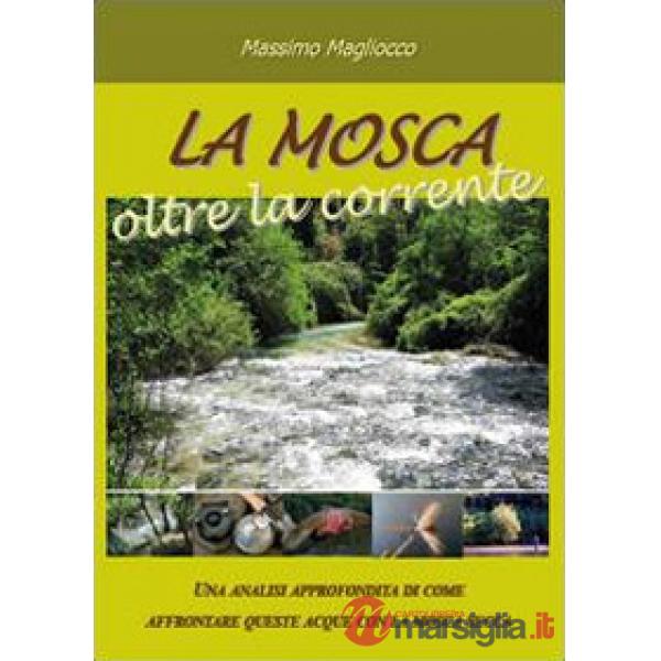 Mosca oltre la corrente (La)