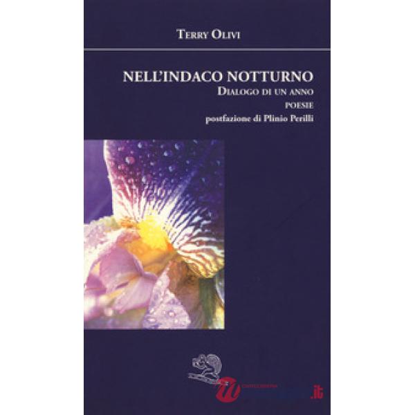 Nell'indaco notturno. Dialogo di un anno