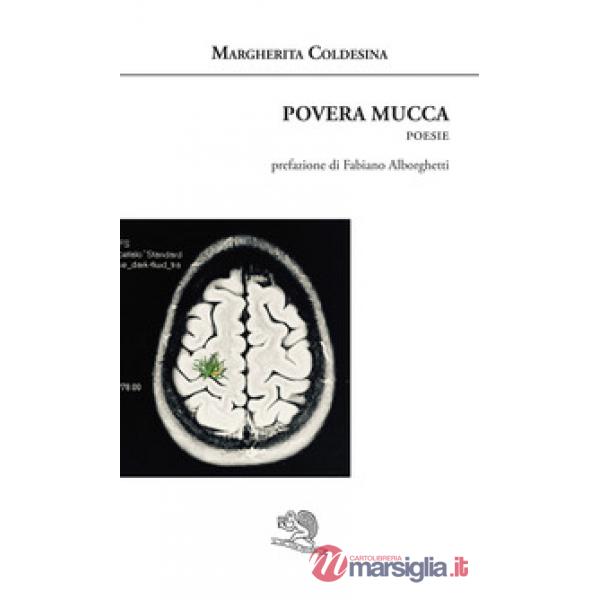 Povera mucca