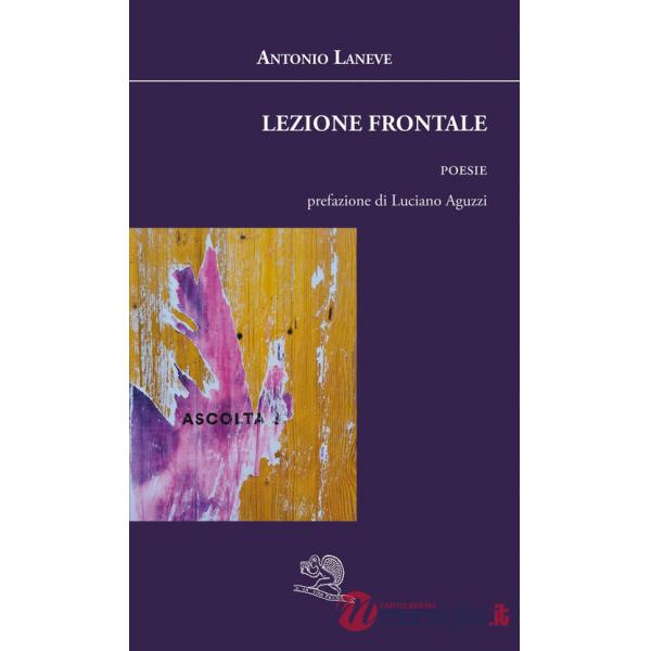 Lezione frontale