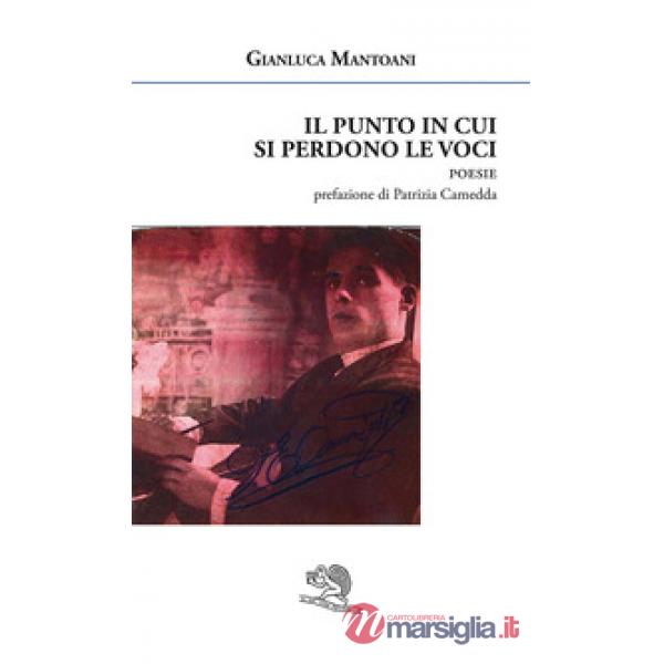 Punto in cui si perdono le voci (Il)