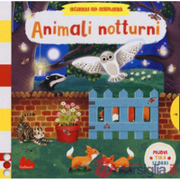 Animali notturni. Scorri ed esplora. Ediz. a colori