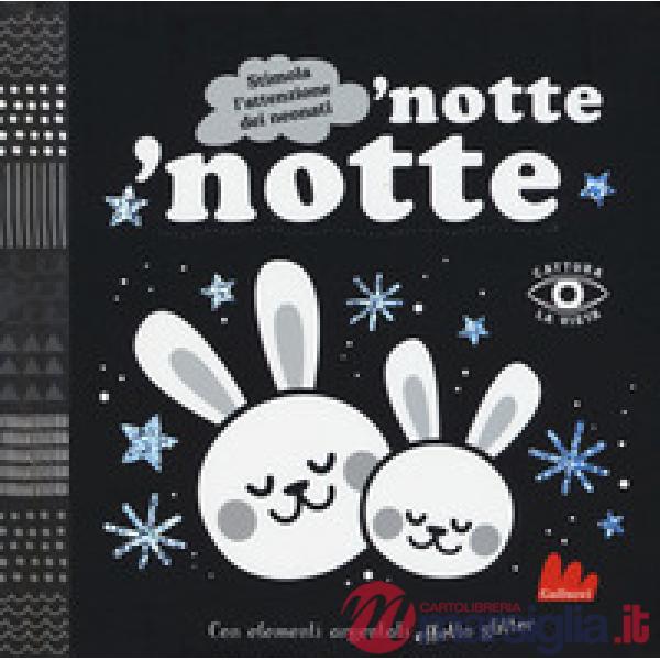 'Notte 'notte. Cattura la vista. Ediz. a colori