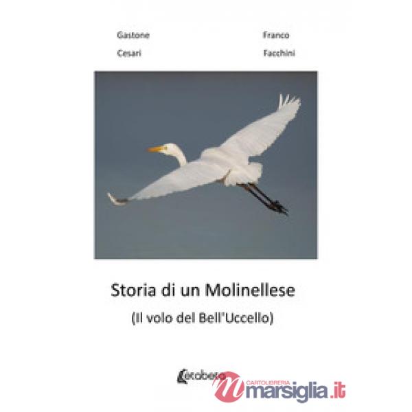 Storia di un molinellese (Il volo del Bell'Uccello)