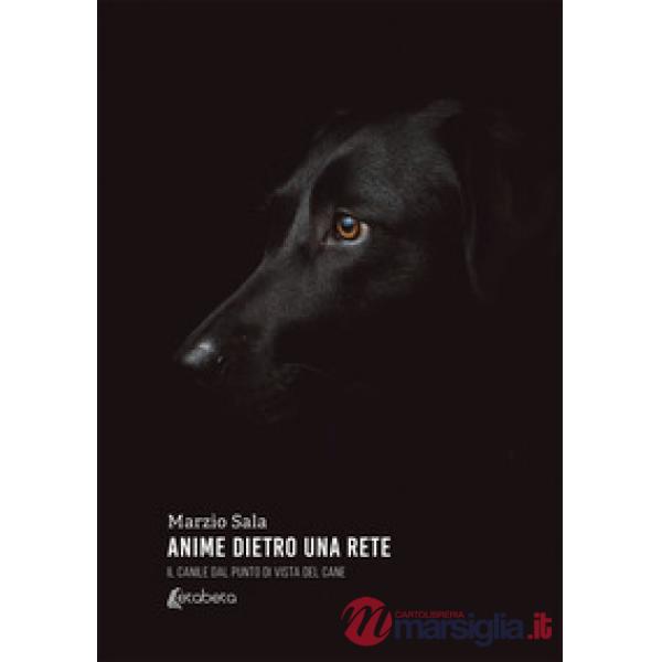Anime dietro una rete. Il canile dal punto di vista del cane