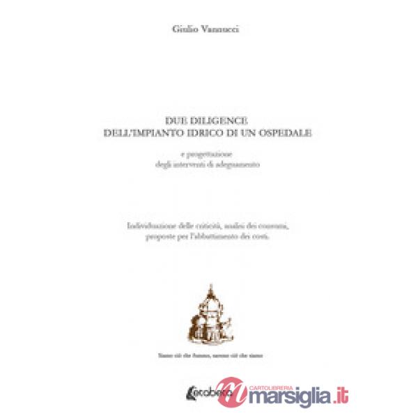 Due diligence dell'impianto idrico di un ospedale e progettazione degli interventi di adeguamento. Individuazione delle criticit