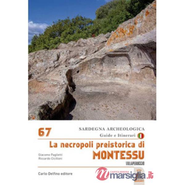 Necropoli preistorica di Montessu