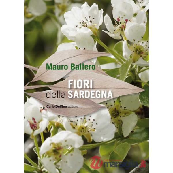 Fiori della Sardegna